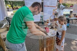 Хасково - изложение - мед - пчелари