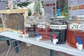 Хасково - изложение - мед - пчелари
