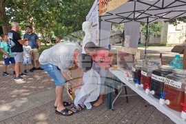 Хасково - изложение - мед - пчелари