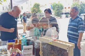 Хасково - изложение - мед - пчелари