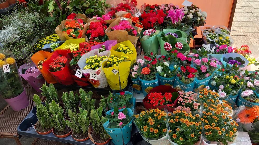 Община Стара Загора: 53-ма мъже, кръстени Захари и 88 дами с името Елисавета ще празнуват утре