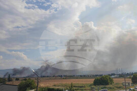 Квартал "Димитър Миленков" - сухи треви - пожар