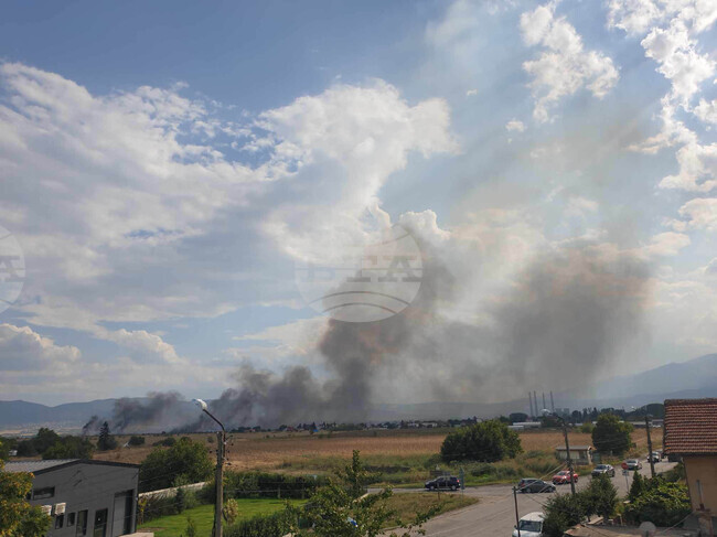 Квартал "Димитър Миленков" - сухи треви - пожар