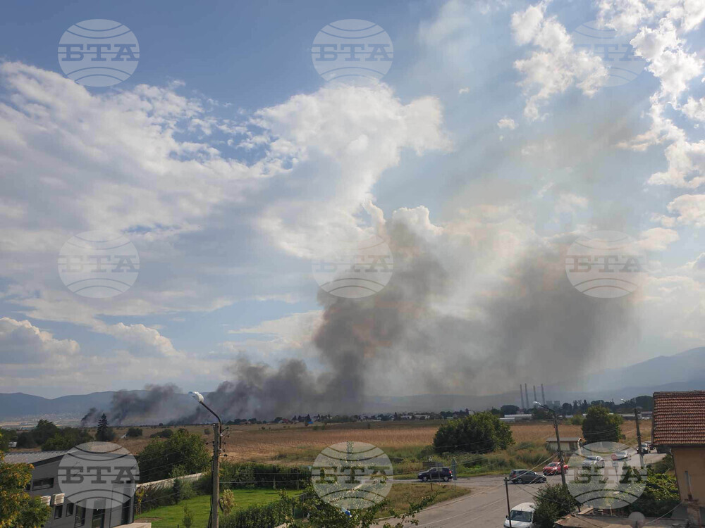 Квартал "Димитър Миленков" - сухи треви - пожар