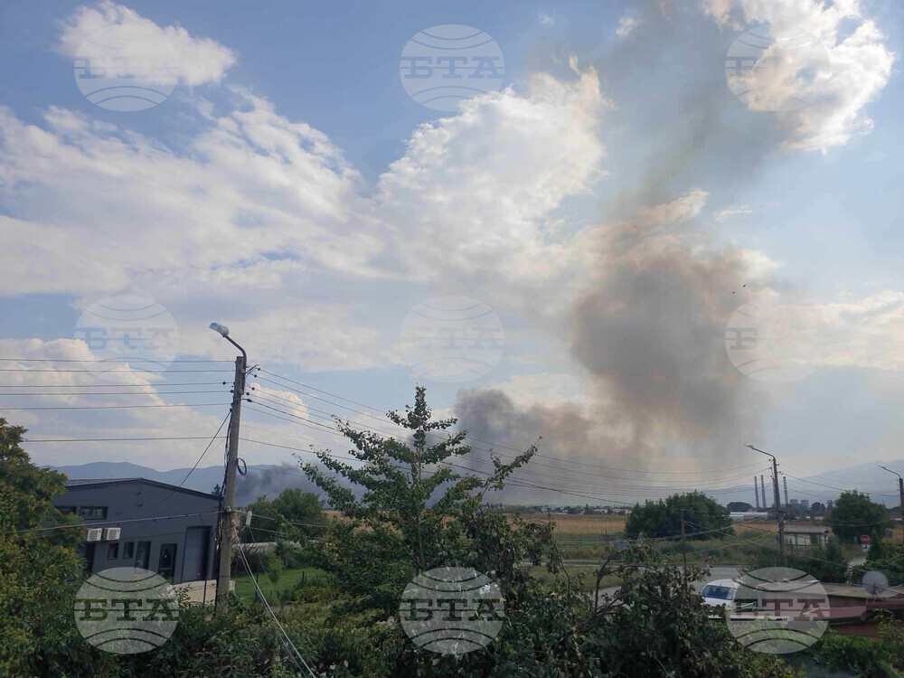 София - "Димитър Миленков" - сухи треви - пожар
