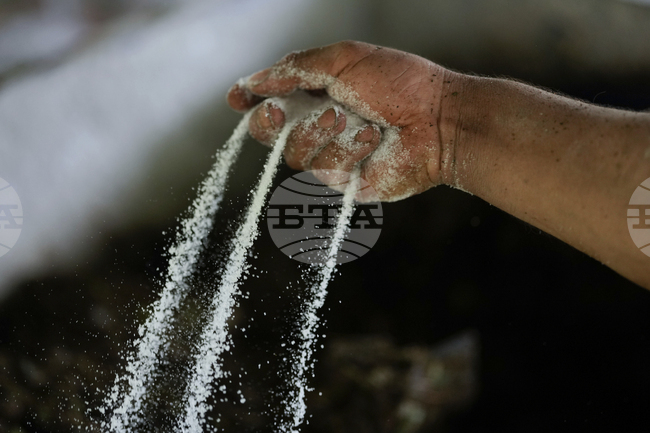 Хърватски депутат предложи народните представители да бъдат тествани за наркотици веднъж годишно