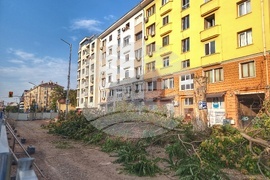 Протест - "Да спасим дърветата на Опълченска" 