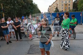Траурно шествие - протест - "Да спасим дърветата на Опълченска"