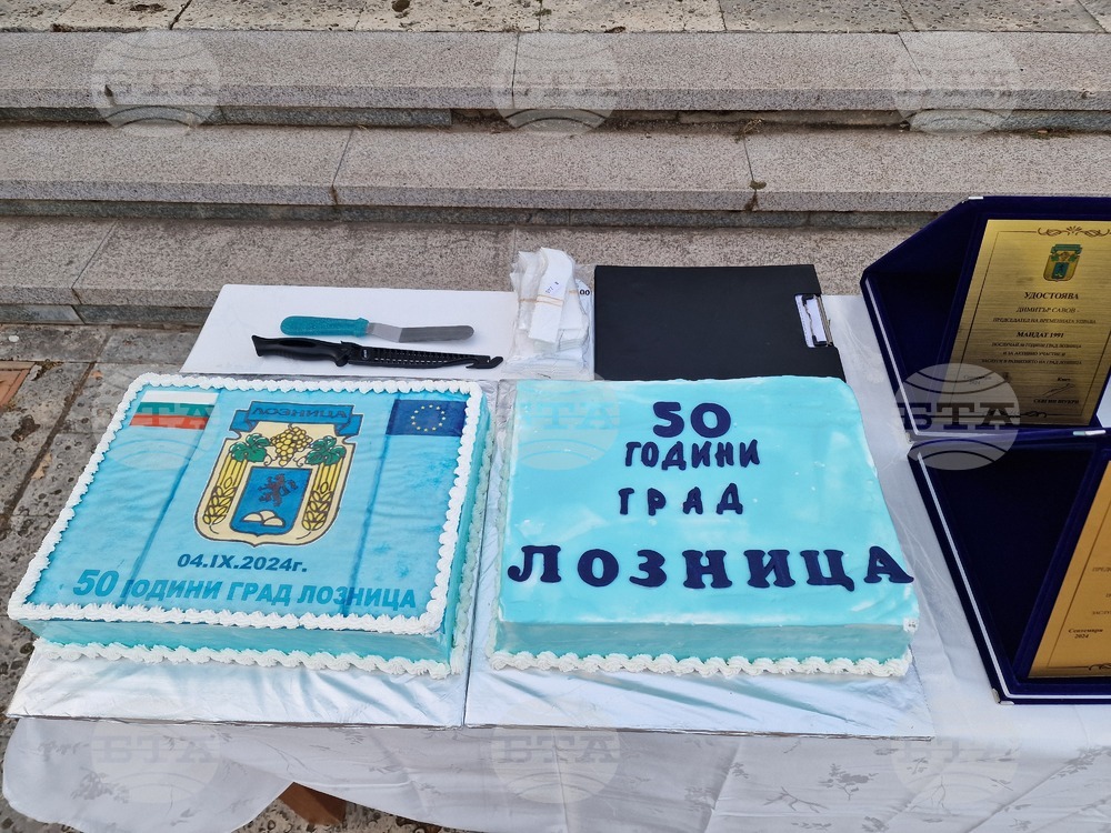 Лозница - празник - годишнина