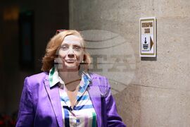 Парламент - заседание - Искра Михайлова