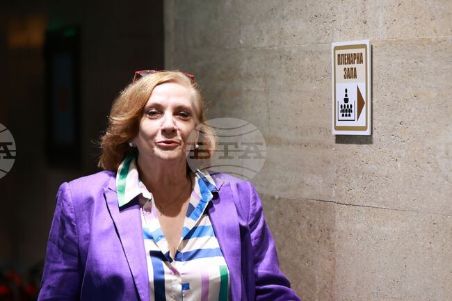 Държавата не може да функционира без бюджет - удължен или нов, каза Искра Михайлова от „ДПС - Ново начало"