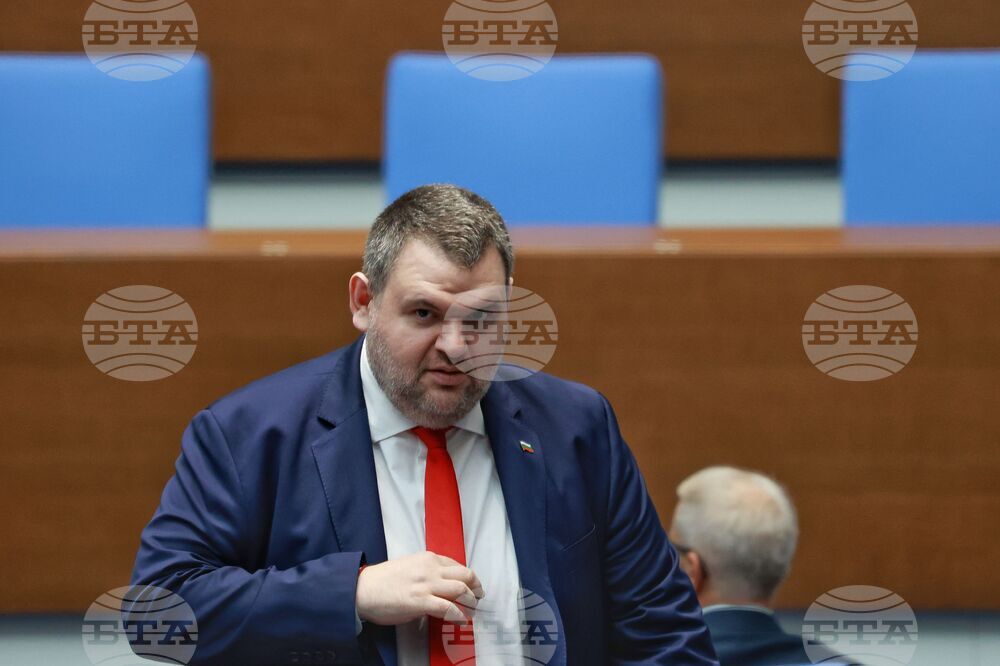 Парламент - заседание - Делян Пеевски