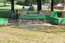 Добрич - парк "Свети Георги"