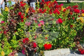 Добрич - парк "Свети Георги"