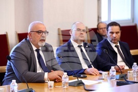 Народно събрание - Мартин Божанов - Нотариуса, Петьо Петров - Еврото - Временна комисия - заседание