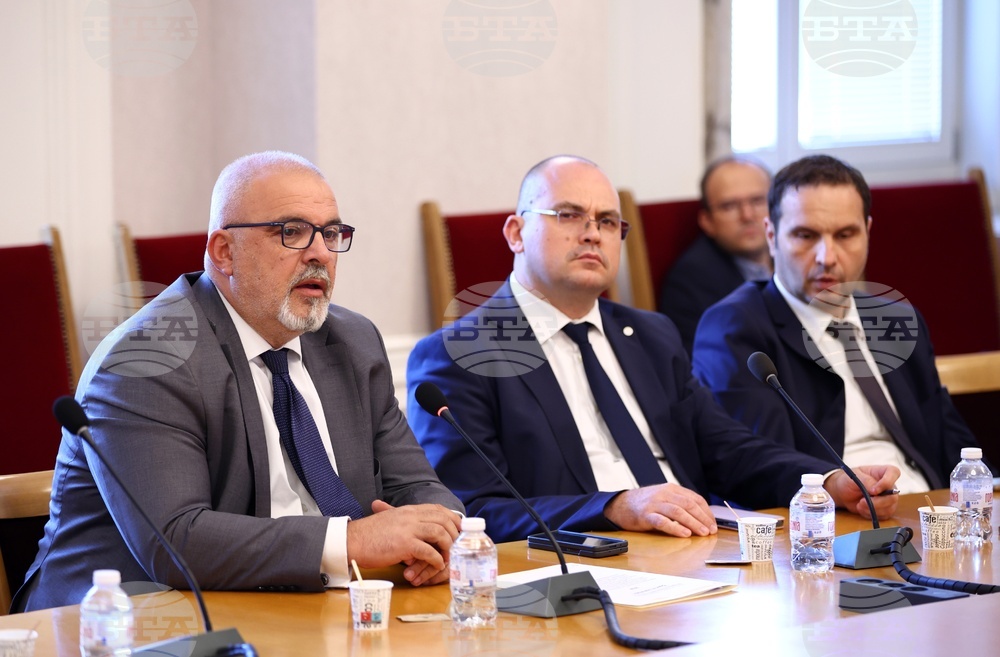 Народно събрание - Мартин Божанов - Нотариуса, Петьо Петров - Еврото - Временна комисия - заседание