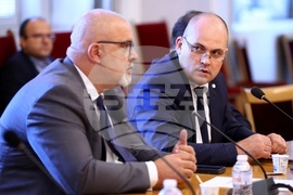 Народно събрание - Мартин Божанов - Нотариуса, Петьо Петров - Еврото - Временна комисия - заседание