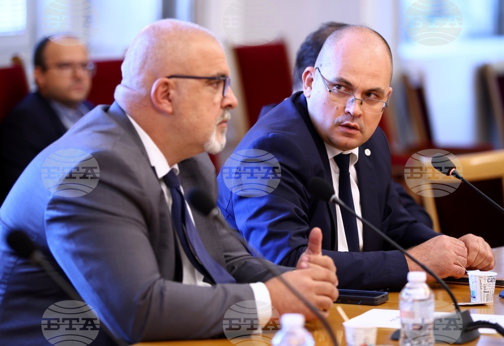 Народно събрание - Мартин Божанов - Нотариуса, Петьо Петров - Еврото - Временна комисия - заседание