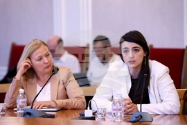 Народно събрание - Мартин Божанов - Нотариуса, Петьо Петров - Еврото - Временна комисия - заседание