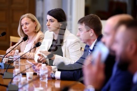 Народно събрание - Мартин Божанов - Нотариуса, Петьо Петров - Еврото - Временна комисия - заседание