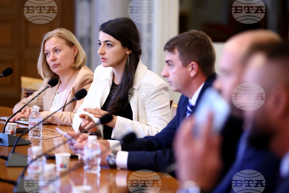 Народно събрание - Мартин Божанов - Нотариуса, Петьо Петров - Еврото - Временна комисия - заседание