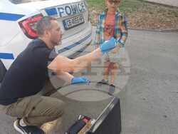 Снимка: ОДМВР – Търговище