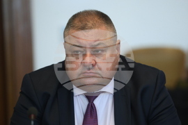 Парламент - Комисия по туризъм - заседание