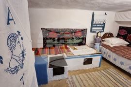 Румъния - Национален музеен комплекс “Астра”