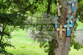 Румъния - Национален музеен комплекс “Астра”