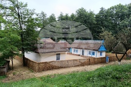 Румъния - Национален музеен комплекс “Астра”