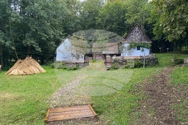 Румъния - Национален музеен комплекс “Астра”