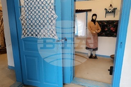 Румъния - Национален музеен комплекс “Астра”