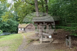 Румъния - Национален музеен комплекс “Астра”