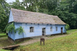 Румъния - Национален музеен комплекс “Астра”