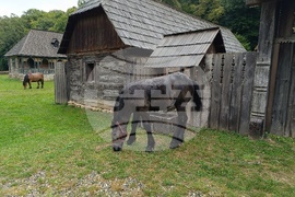 Румъния - Национален музеен комплекс “Астра”