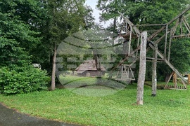 Румъния - Национален музеен комплекс “Астра”