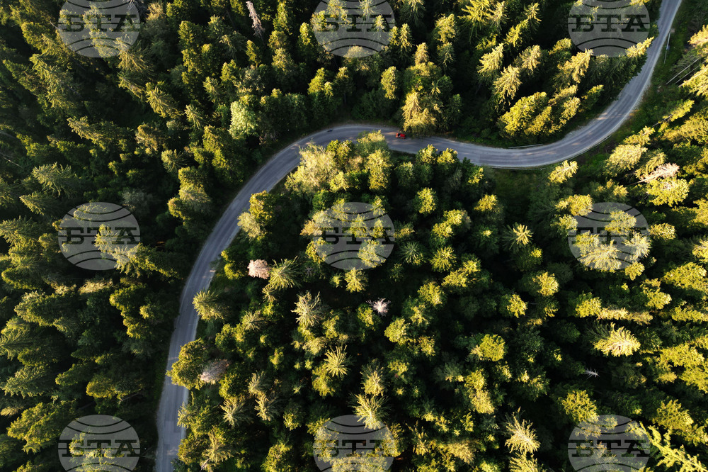 Отворен е прием по интервенцията за залесяване и възстановяване, който ще продължи до 3 октомври