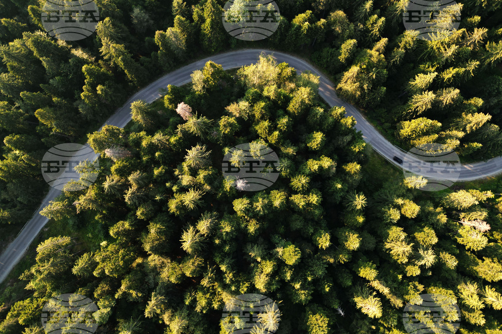 Временни ограничения за движението в пътните отсечки Самоков - Боровец и Боровец – село Радуил са предвидени за следващите три дни 