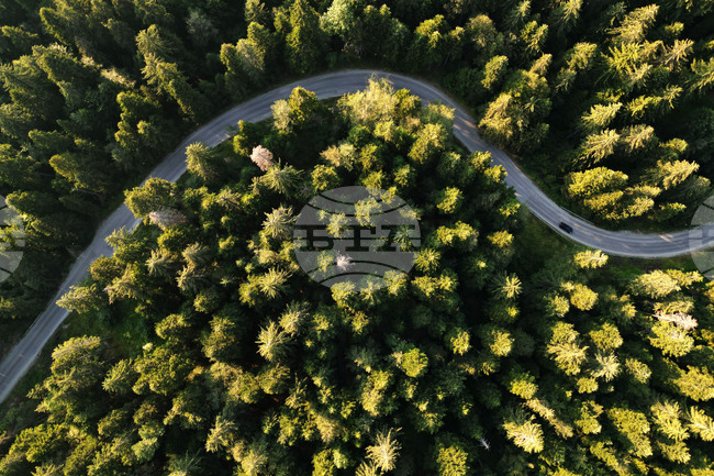 Временни ограничения за движението в пътните отсечки Самоков - Боровец и Боровец – село Радуил са предвидени за следващите три дни 