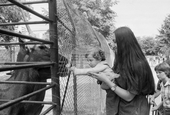 Варненският зоопарк през 1978 година