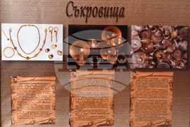 Берковица - „Емблемите на Северозападна България“ - изложба