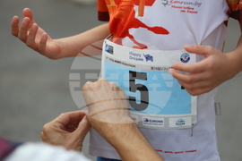 София Екиден маратон 2024 - старт