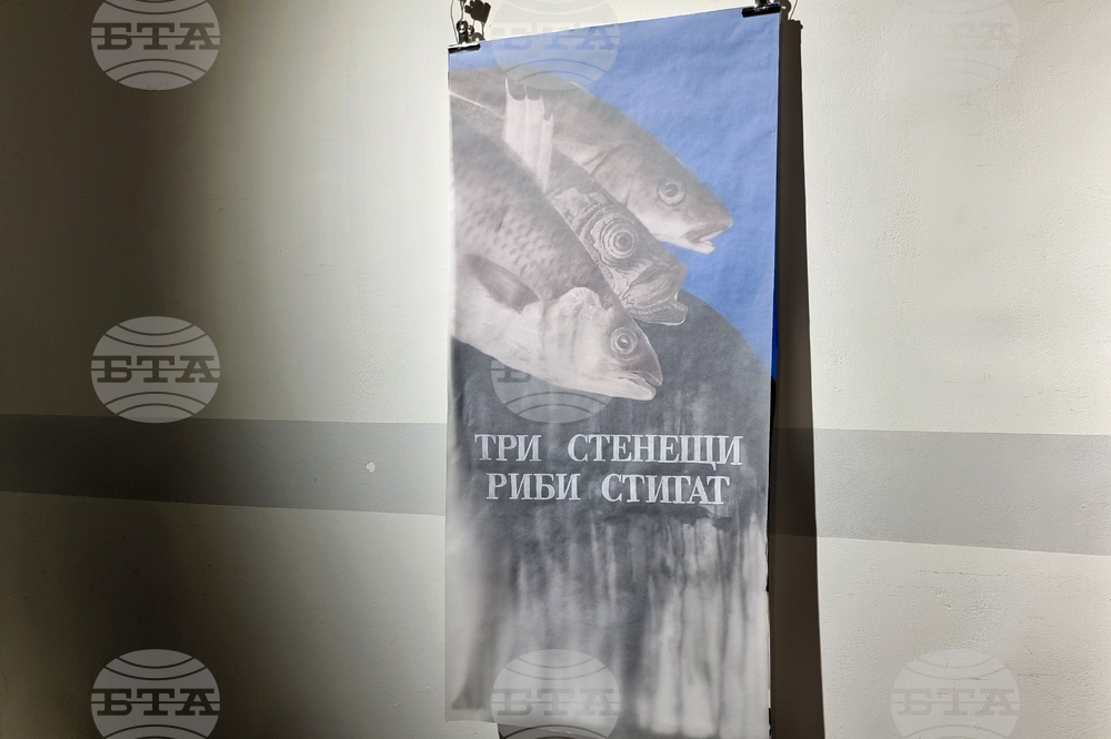 Добрич - „Хартията - същност и намеса“ - изложба
