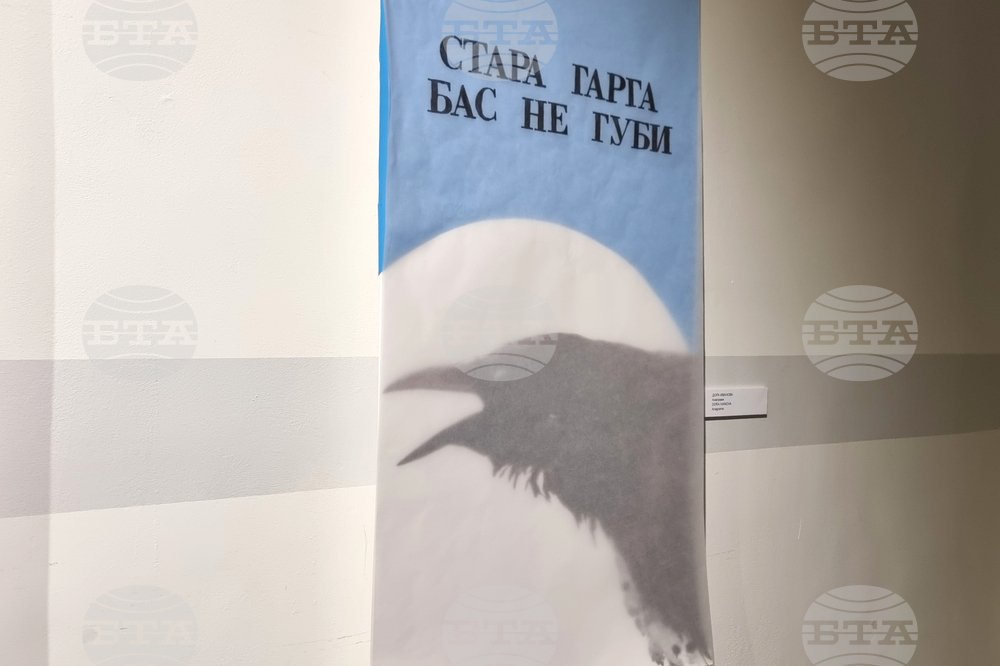 Добрич - „Хартията - същност и намеса“ - изложба