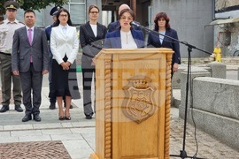 Видин - Ден на Съединението - честване