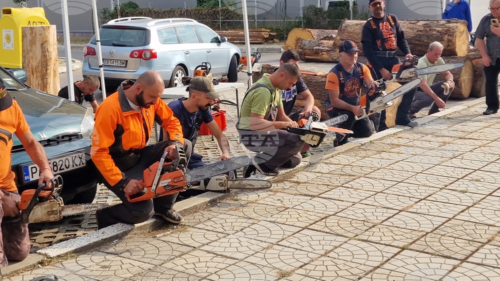 Самоков - карвинг фестивал - откриване