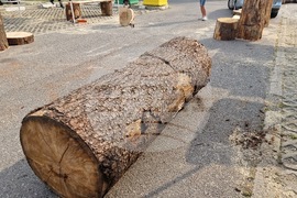 Самоков - карвинг фестивал - откриване