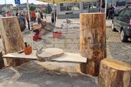 Самоков - карвинг фестивал - откриване