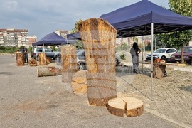 Самоков - карвинг фестивал - откриване