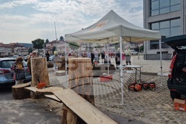 Самоков - карвинг фестивал - откриване